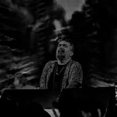 דארוויש - Darwish