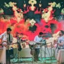 KADMON | הדוב הירוק